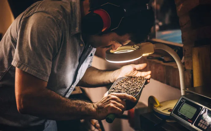 Worin unterscheiden sich helle und dunkle Röstgrade? Worin unterscheiden sich helle und dunkle Röstgrade?